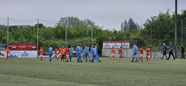 01.06.2024 SC Borea Dresden IV vs. Radeberger SV