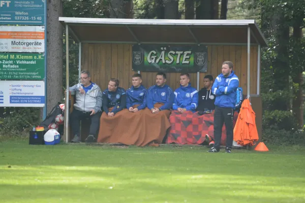 28.09.2024 Hartmannsdorfer SV vs. Radeberger SV