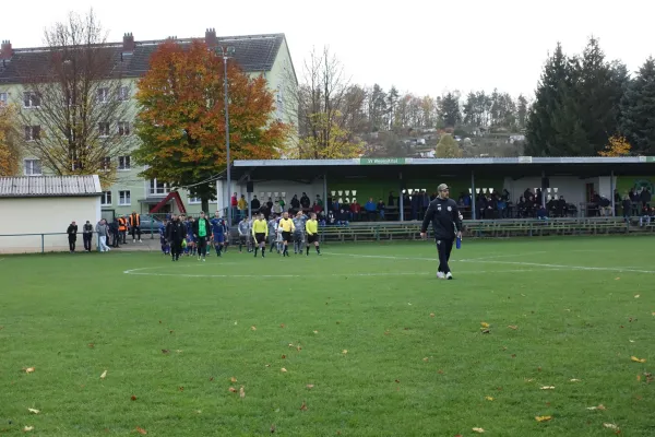 02.11.2024 SV Wesenitztal vs. Radeberger SV