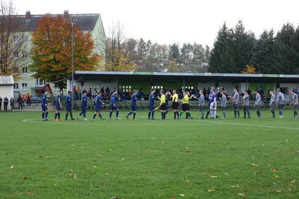 02.11.2024 SV Wesenitztal vs. Radeberger SV