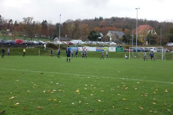 02.11.2024 SV Wesenitztal vs. Radeberger SV